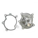 Order DAYCO - DP981 - New Water Pump For Your Vehicle