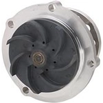 Order New Water Pump by DAYCO - DP1002 For Your Vehicle
