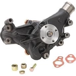 Order New Water Pump by DAYCO - DP10031 For Your Vehicle