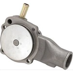 Order New Water Pump by DAYCO - DP1032 For Your Vehicle