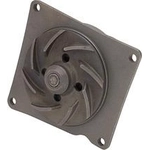 Order New Water Pump by DAYCO - DP1067 For Your Vehicle