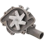 Order New Water Pump by DAYCO - DP1071 For Your Vehicle