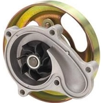 Order New Water Pump by DAYCO - DP1249 For Your Vehicle