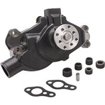 Order New Water Pump by DAYCO - DP1331 For Your Vehicle