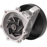 Order New Water Pump by DAYCO - DP337 For Your Vehicle