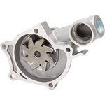Order New Water Pump by DAYCO - DP591 For Your Vehicle