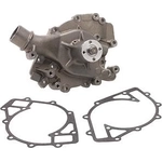 Order New Water Pump by DAYCO - DP811 For Your Vehicle