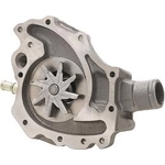Order New Water Pump by DAYCO - DP815 For Your Vehicle