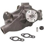 Order New Water Pump by DAYCO - DP819 For Your Vehicle