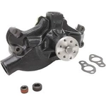 Order New Water Pump by DAYCO - DP8191 For Your Vehicle