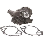 Order New Water Pump by DAYCO - DP830 For Your Vehicle