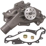 Order New Water Pump by DAYCO - DP842 For Your Vehicle