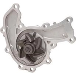 Order New Water Pump by DAYCO - DP919 For Your Vehicle