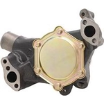 Order New Water Pump by DAYCO - DP9631 For Your Vehicle