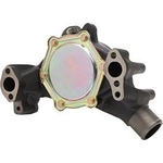 Order New Water Pump by DAYCO - DP9671 For Your Vehicle