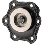 Order New Water Pump by DAYCO - DP975 For Your Vehicle