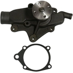 Order New Water Pump by GMB - 110-1010 For Your Vehicle