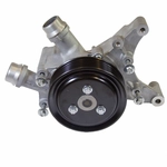 Order New Water Pump by MOTORCRAFT - PW503 For Your Vehicle