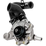 Order New Water Pump by MOTORCRAFT - PW503 For Your Vehicle