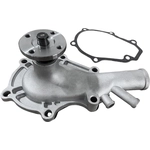 Order SKP - SK1201060 - Engine Water Pump For Your Vehicle