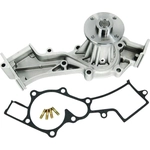 Order SKP - SK1501610 - Engine Water Pump For Your Vehicle