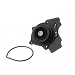 Order New Water Pump by URO - 06H121026BA For Your Vehicle