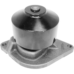 Order US MOTOR WORKS - US7145HN - Engine Water Pump For Your Vehicle