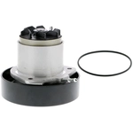 Order VAICO - V45-50017 - Engine Coolant Water Pump For Your Vehicle