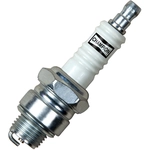 Order Bougie en cuivre résistant (Pack of 4) by CHAMPION SPARK PLUG - 841-1 For Your Vehicle