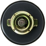 Order Oil Cap by MOTORAD - MO116 For Your Vehicle