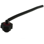 Order Bouchon d'huile de MOTORAD - MO94 For Your Vehicle