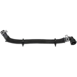 Order Oil Cooler Hose Assembly by DORMAN (OE SOLUTIONS) - 625-503 For Your Vehicle
