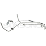 Order SUNSONG NORTH AMERICA - 5801486 - Engine Oil Cooler Hose Assembly For Your Vehicle