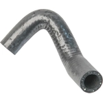 Order Oil Cooler Hose Assembly by URO - 021121096 For Your Vehicle