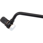 Order Oil Cooler Hose Assembly by URO - 038145771AH For Your Vehicle