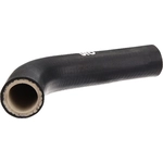 Order Oil Cooler Hose Assembly by URO - 30676906 For Your Vehicle