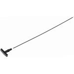 Order Oil Dipstick by DORMAN (OE SOLUTIONS) - 917-368 For Your Vehicle