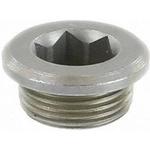 Order CRP/REIN - HWP0065 - Oil Drain Plug For Your Vehicle