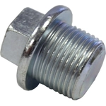 Order Oil Drain Plug (Pack of 2) by FMSI AUTOMOTIVE HARDWARE - 1011 For Your Vehicle