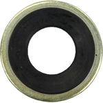 Order Oil Drain Plug Gasket (Pack of 25) by FMSI AUTOMOTIVE HARDWARE - 2124 For Your Vehicle