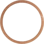 Order VICTOR REINZ - 41-70166-00 - Oil Drain Plug Gasket For Your Vehicle