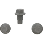 Order Oil Drain Plug by PIONEER - 500100 For Your Vehicle