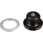Order URO - 11137618512DP - Oil Drain Plug For Your Vehicle