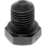 Order VAICO - V10-0884 - Oil Pan Drain Plug For Your Vehicle