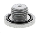 Order Oil Drain Plug by VAICO - V40-0751 For Your Vehicle
