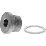 Order Oil Drain Plug by VAICO - V45-0153 For Your Vehicle