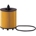 Order Oil Filter by ECOGARD - S5436 For Your Vehicle