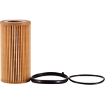 Order Oil Filter by ECOGARD - S5581 For Your Vehicle