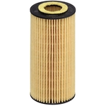 Order HENGST FILTER - E17H01D50 - Oil Filter With Gasket Set For Your Vehicle