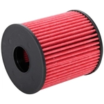 Order Oil Filter by K & N ENGINEERING - HP7024 For Your Vehicle